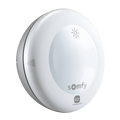 Somfy Rolladen Somfy Sunis WireFree II IO 1818285
